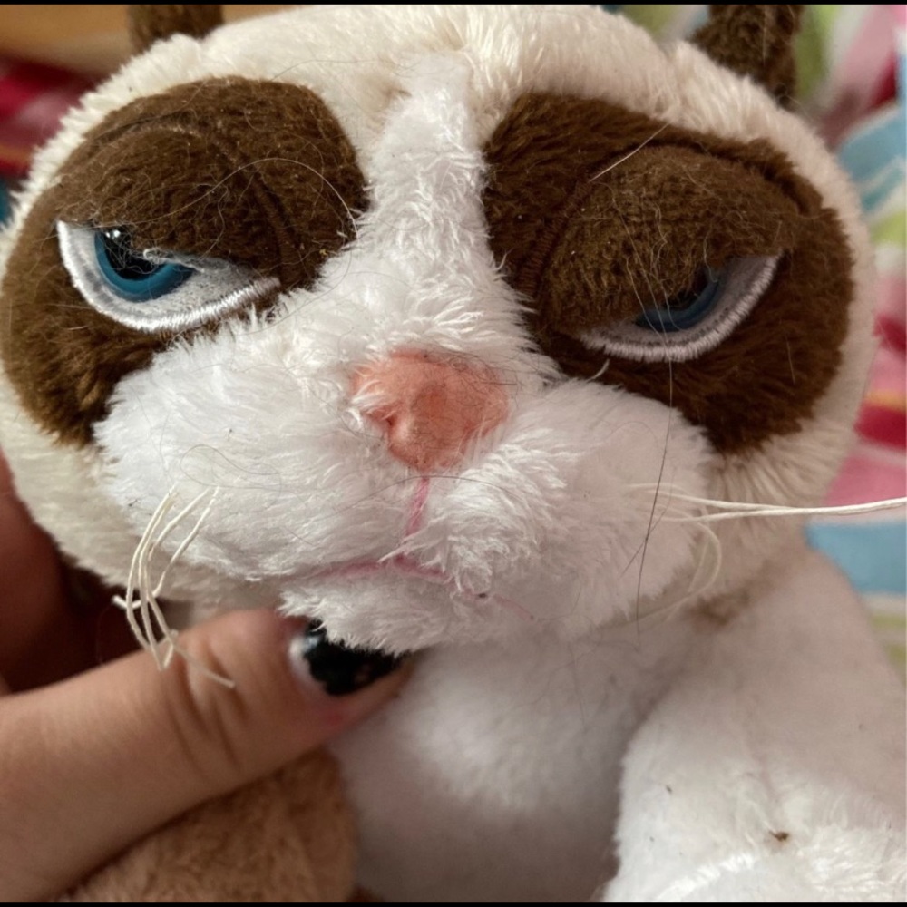 Grumpy cat plushie